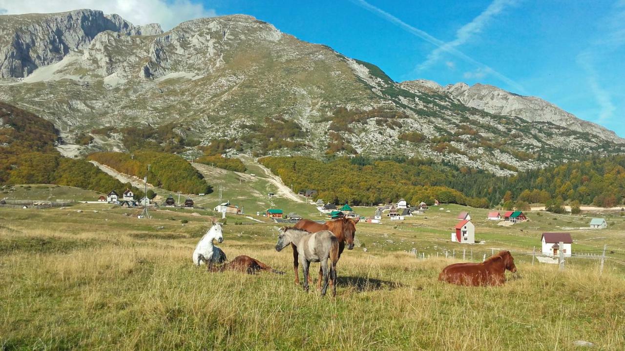 Family Farm Apartments Žabljak Exterior foto